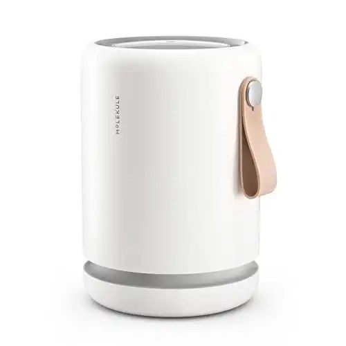 Molekule Air Mini+ | Air Purifier for Small Home Rooms up to 250 sq. ft.
