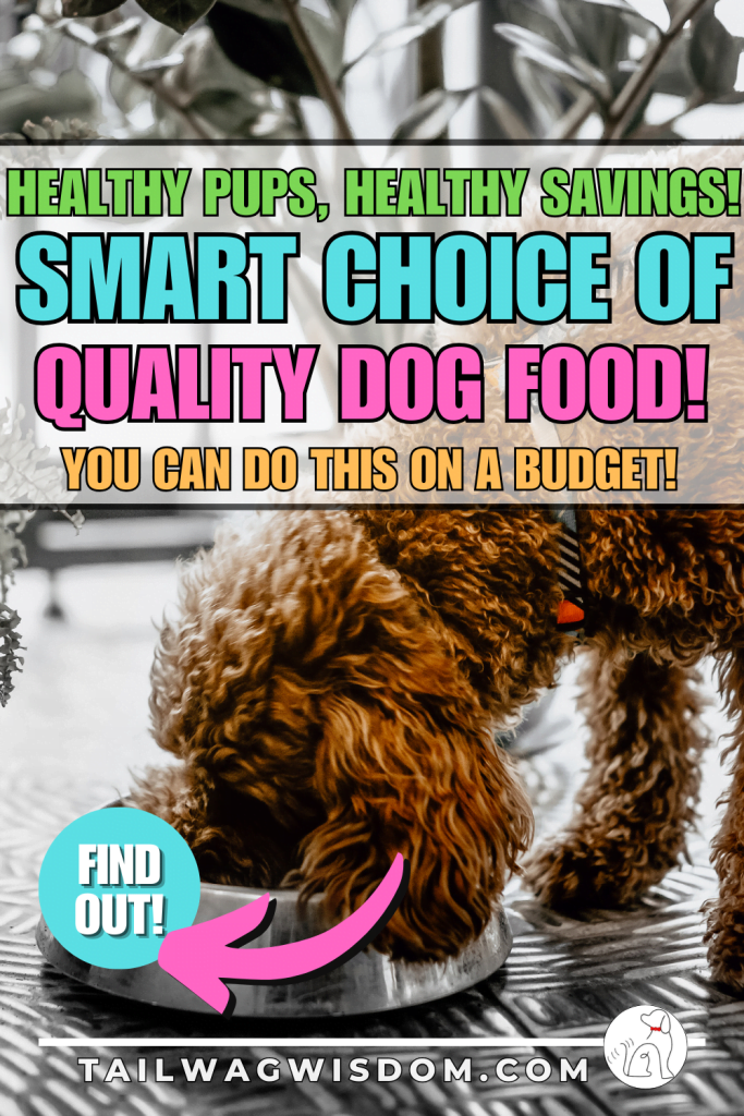 A cute cookapoo enjoys quality dog food benefits.