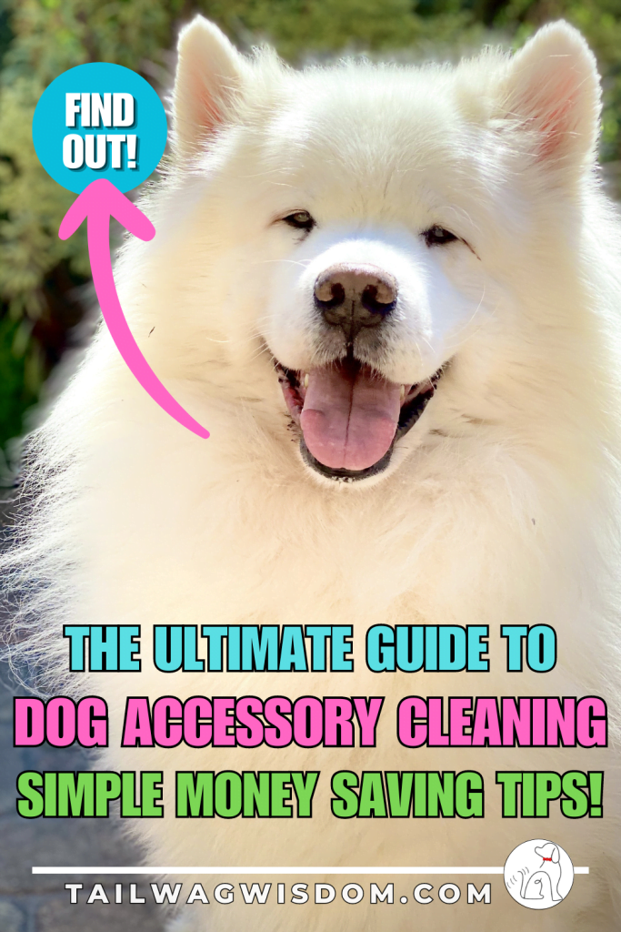 A smiling white pup is healthy due in part to simple dog accessory cleaning tips