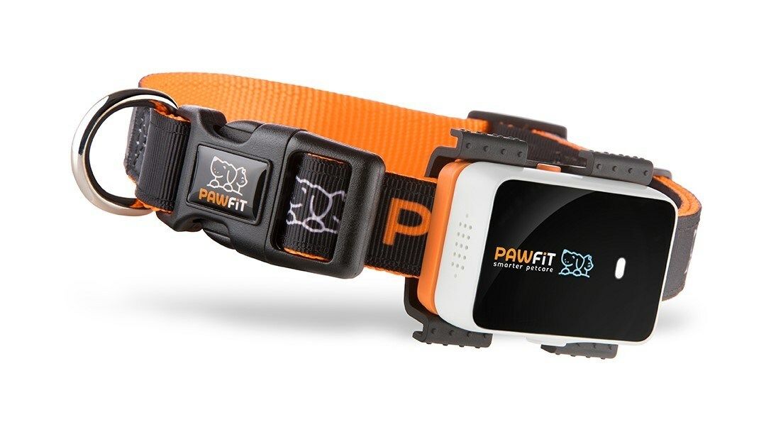 Pawfit Unveils Revolutionary Pet Tracker in the U.S., Promising a Leap in Pet Safety and Health